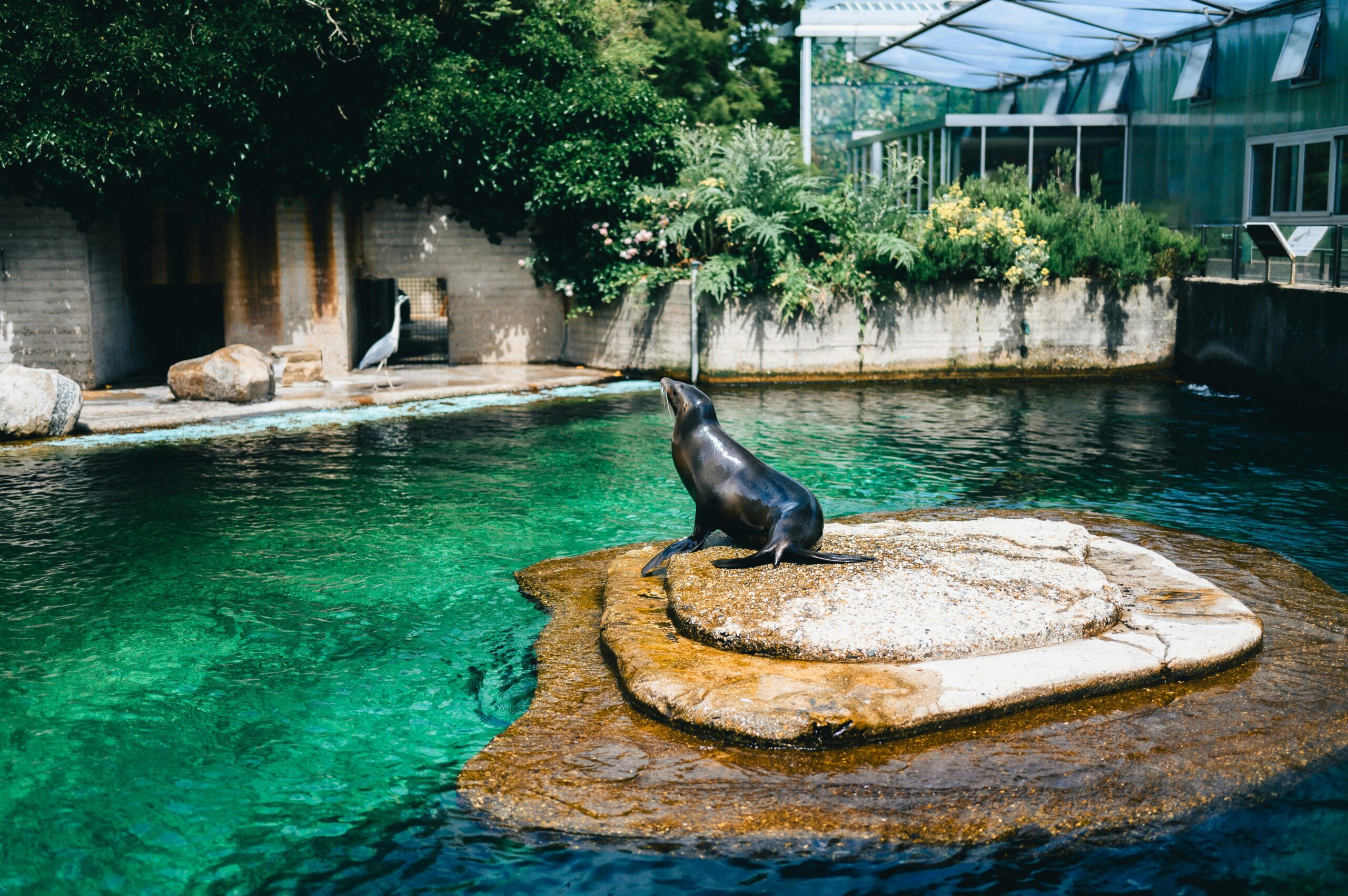Seaworld's Seven Seas Craft Beer