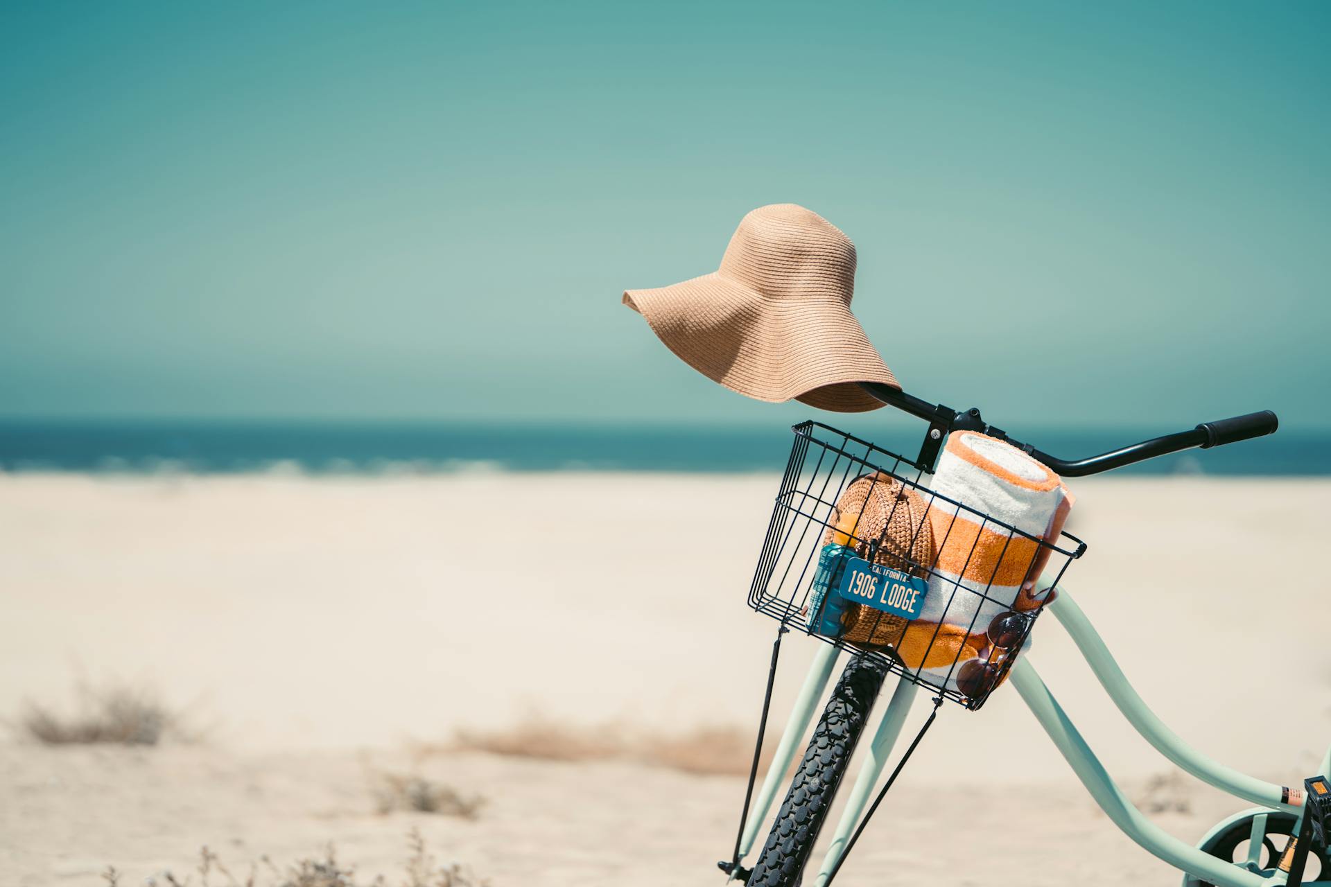 Enjoy a scenic bike ride in San Diego
